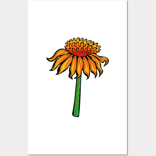 Flame Coneflower  Indigenous WAWEZHI CANADA Posters and Art